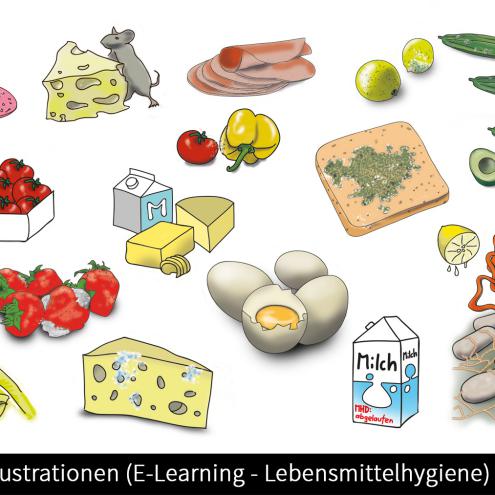 Illustration E-Learning Lebensmittel-Hygiene-Schulung 3