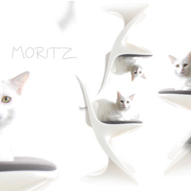 moritz2